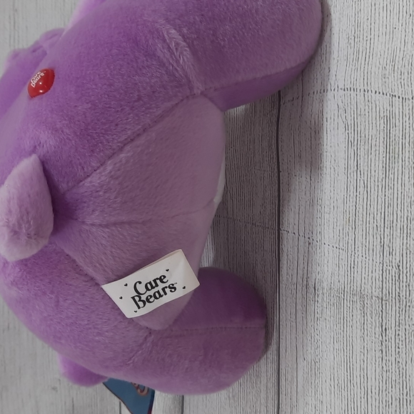 Care Bear Share Bear Plush - Picture 5 of 6